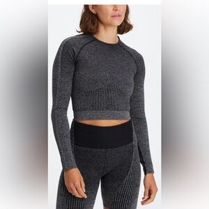 Fabletics, NWT, Cropped Workout Top